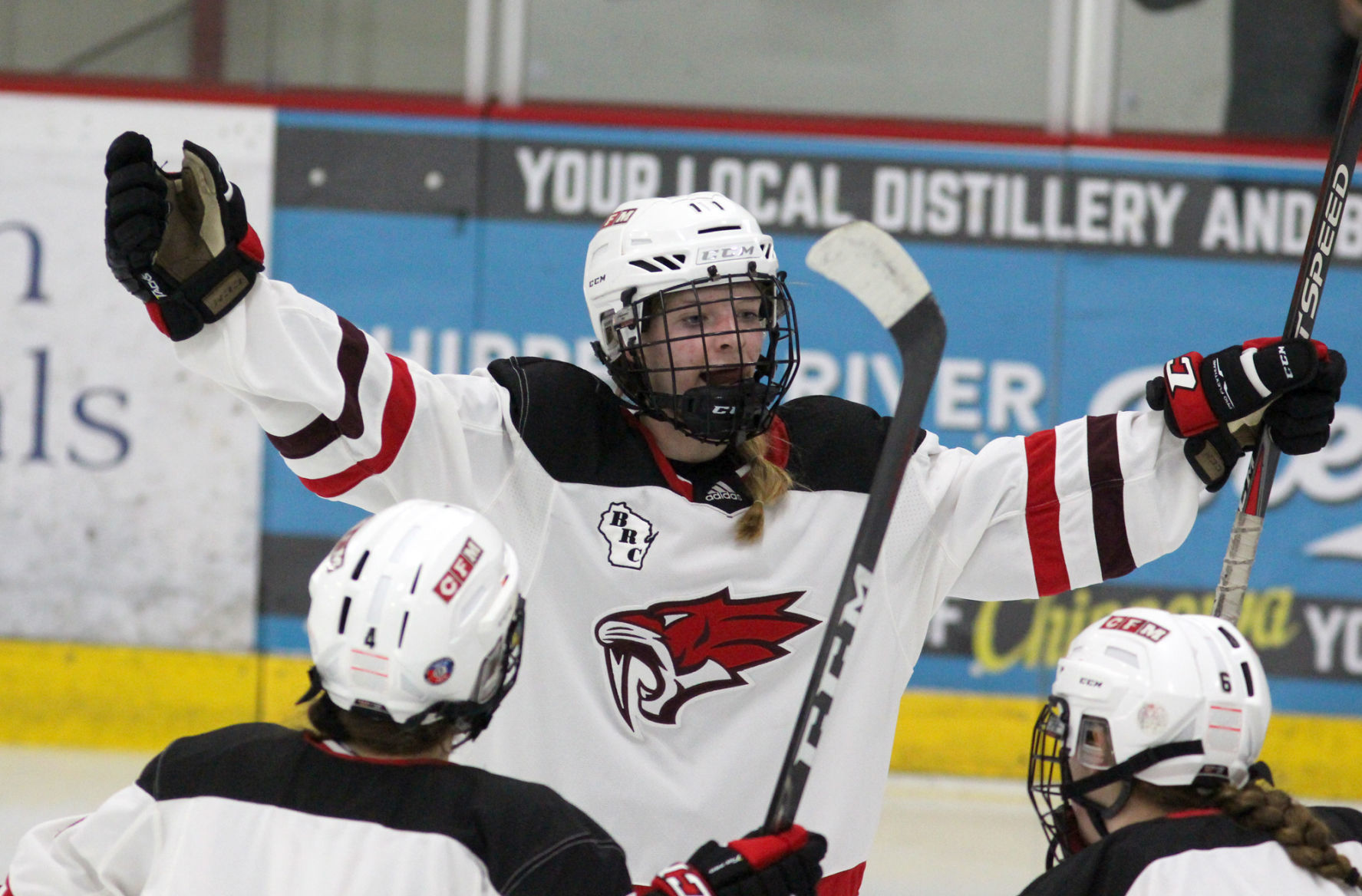 Hayward at Chippewa Falls/Menomonie girls hockey 2-20-20